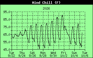 Wind Chill